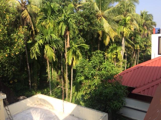 Greenview Homestay Kochi Eksteriør bilde